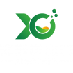 xingchen